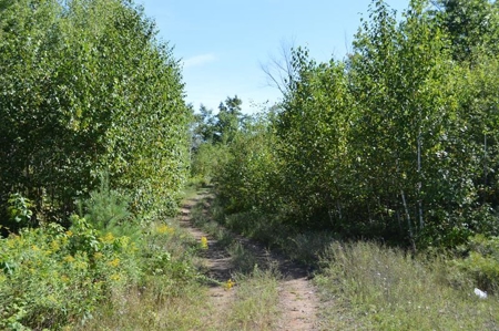 Menominee River Multi Lot Auction in Florence WI. Online Onl - image 31
