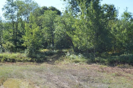 Menominee River Multi Lot Auction in Florence WI. Online Onl - image 44