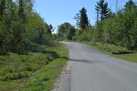 Menominee River Multi Lot Auction in Florence WI. Online Onl - image 28