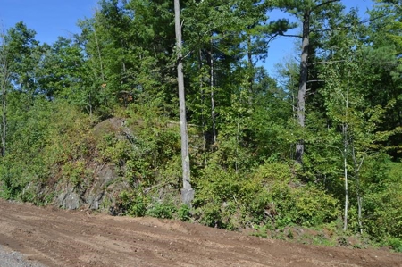 Menominee River Multi Lot Auction in Florence WI. Online Onl - image 26