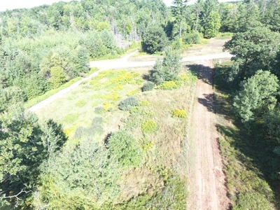 Menominee River Multi Lot Auction in Florence WI. Online Onl - image 42