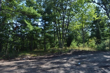Menominee River Multi Lot Auction in Florence WI. Online Onl - image 23