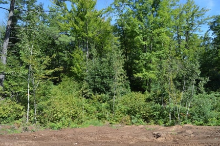 Menominee River Multi Lot Auction in Florence WI. Online Onl - image 27