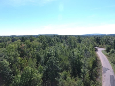 Menominee River Multi Lot Auction in Florence WI. Online Onl - image 10