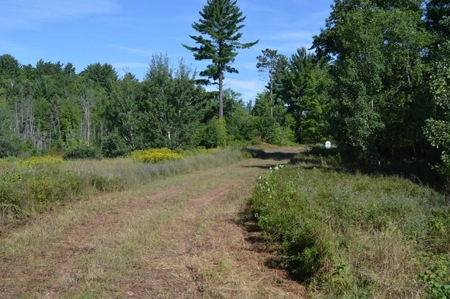 Menominee River Multi Lot Auction in Florence WI. Online Onl - image 45