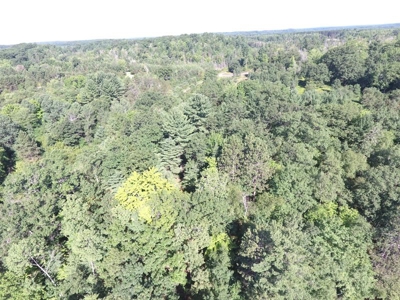 Menominee River Multi Lot Auction in Florence WI. Online Onl - image 39