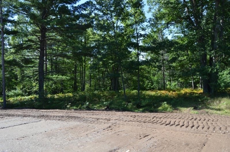 Menominee River Multi Lot Auction in Florence WI. Online Onl - image 22