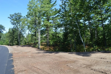 Menominee River Multi Lot Auction in Florence WI. Online Onl - image 24