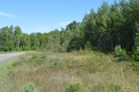 Menominee River Multi Lot Auction in Florence WI. Online Onl - image 29