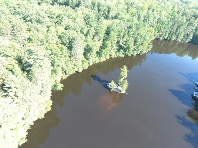 Menominee River Multi Lot Auction in Florence WI. Online Onl - image 34