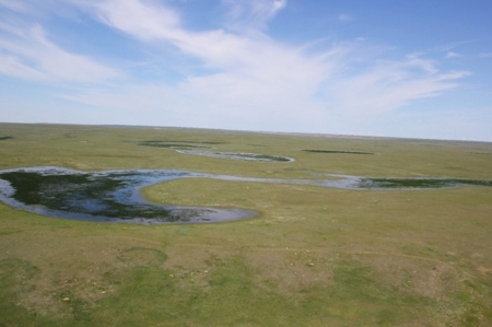 1200+/- Acres North of Dodson Montana- GRAZING LAND AUCTION - image 13