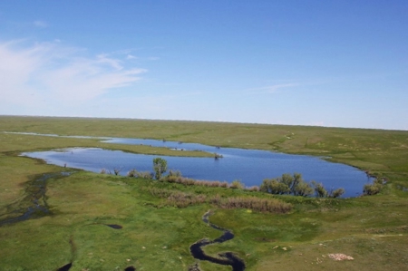 1200+/- Acres North of Dodson Montana- GRAZING LAND AUCTION - image 10