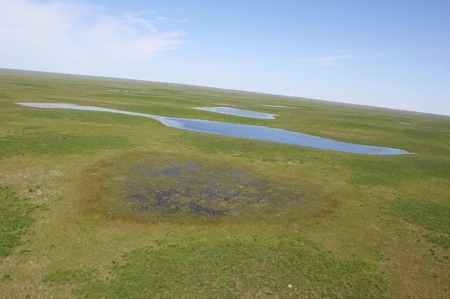 1200+/- Acres North of Dodson Montana- GRAZING LAND AUCTION - image 5