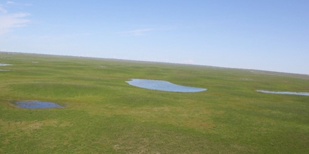 1200+/- Acres North of Dodson Montana- GRAZING LAND AUCTION - image 4