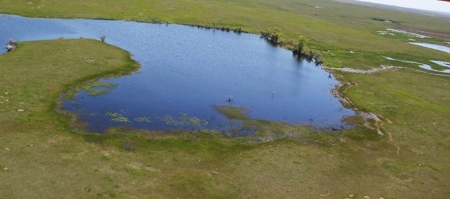 1200+/- Acres North of Dodson Montana- GRAZING LAND AUCTION - image 11