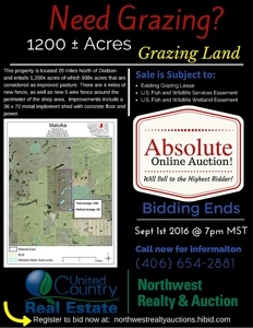 1200+/- Acres North of Dodson Montana- GRAZING LAND AUCTION - image 2