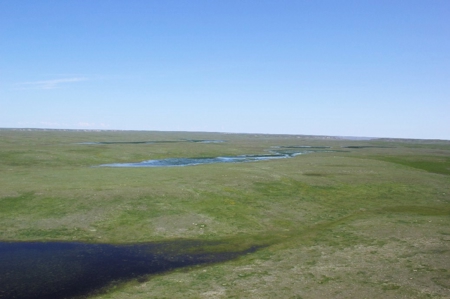 1200+/- Acres North of Dodson Montana- GRAZING LAND AUCTION - image 15