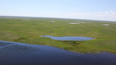 1200+/- Acres North of Dodson Montana- GRAZING LAND AUCTION - image 6