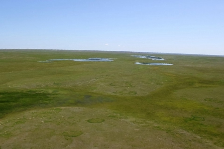 1200+/- Acres North of Dodson Montana- GRAZING LAND AUCTION - image 14