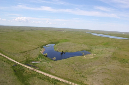 1200+/- Acres North of Dodson Montana- GRAZING LAND AUCTION - image 8