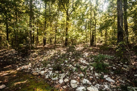 Rental or Vacation Home In Cherokee Village AR For Sale - image 3