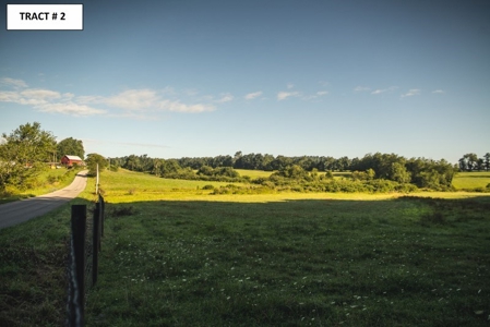 8 Acres of Open Land with Creek & Views for Sale at Auction! - image 4