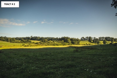 8 Acres of Open Land with Creek & Views for Sale at Auction! - image 3