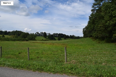 8 Acres of Open Land with Creek & Views for Sale at Auction! - image 14