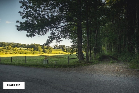 8 Acres of Open Land with Creek & Views for Sale at Auction! - image 5