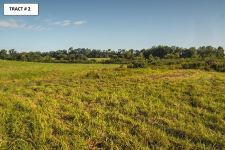 8 Acres of Open Land with Creek & Views for Sale at Auction! - image 8