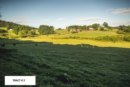 8 Acres of Open Land with Creek & Views for Sale at Auction! - image 2