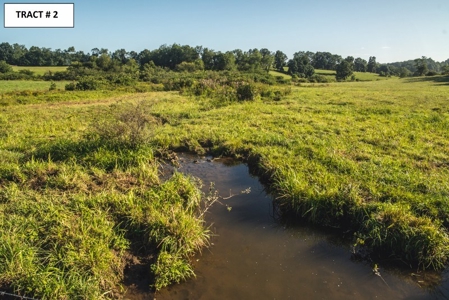 8 Acres of Open Land with Creek & Views for Sale at Auction! - image 6