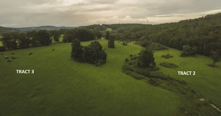 8 Acres of Open Land with Creek & Views for Sale at Auction! - image 10