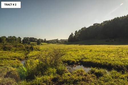 8 Acres of Open Land with Creek & Views for Sale at Auction! - image 7