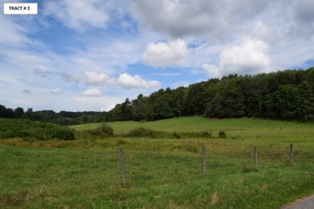 8 Acres of Open Land with Creek & Views for Sale at Auction! - image 13