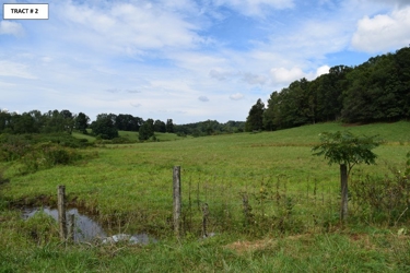 alt=