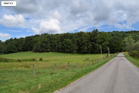 8 Acres of Open Land with Creek & Views for Sale at Auction! - image 12