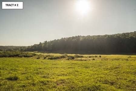 8 Acres of Open Land with Creek & Views for Sale at Auction! - image 9