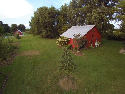 Carlinville County Home Estate For Sale with Acreage - image 6