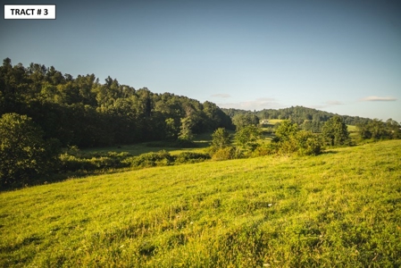90 Acres Being Sold At Absolute Auction in Floyd VA! - image 4