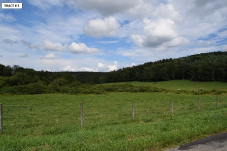 90 Acres Being Sold At Absolute Auction in Floyd VA! - image 28