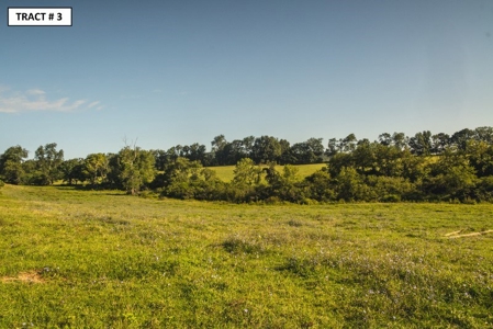 90 Acres Being Sold At Absolute Auction in Floyd VA! - image 14