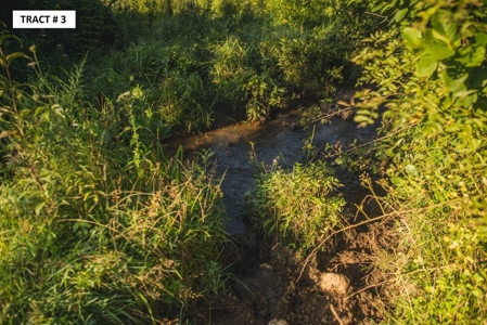 90 Acres Being Sold At Absolute Auction in Floyd VA! - image 6