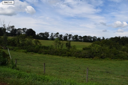 90 Acres Being Sold At Absolute Auction in Floyd VA! - image 25
