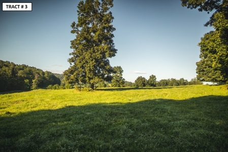 90 Acres Being Sold At Absolute Auction in Floyd VA! - image 3
