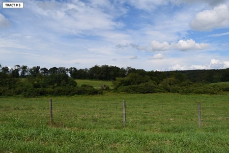 90 Acres Being Sold At Absolute Auction in Floyd VA! - image 27