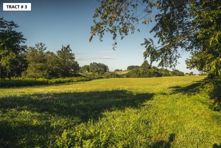 90 Acres Being Sold At Absolute Auction in Floyd VA! - image 1