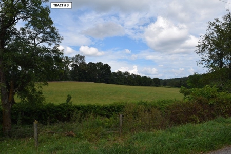 90 Acres Being Sold At Absolute Auction in Floyd VA! - image 21