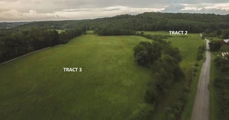 90 Acres Being Sold At Absolute Auction in Floyd VA! - image 19