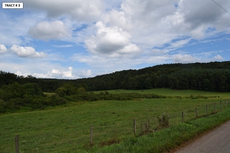90 Acres Being Sold At Absolute Auction in Floyd VA! - image 26